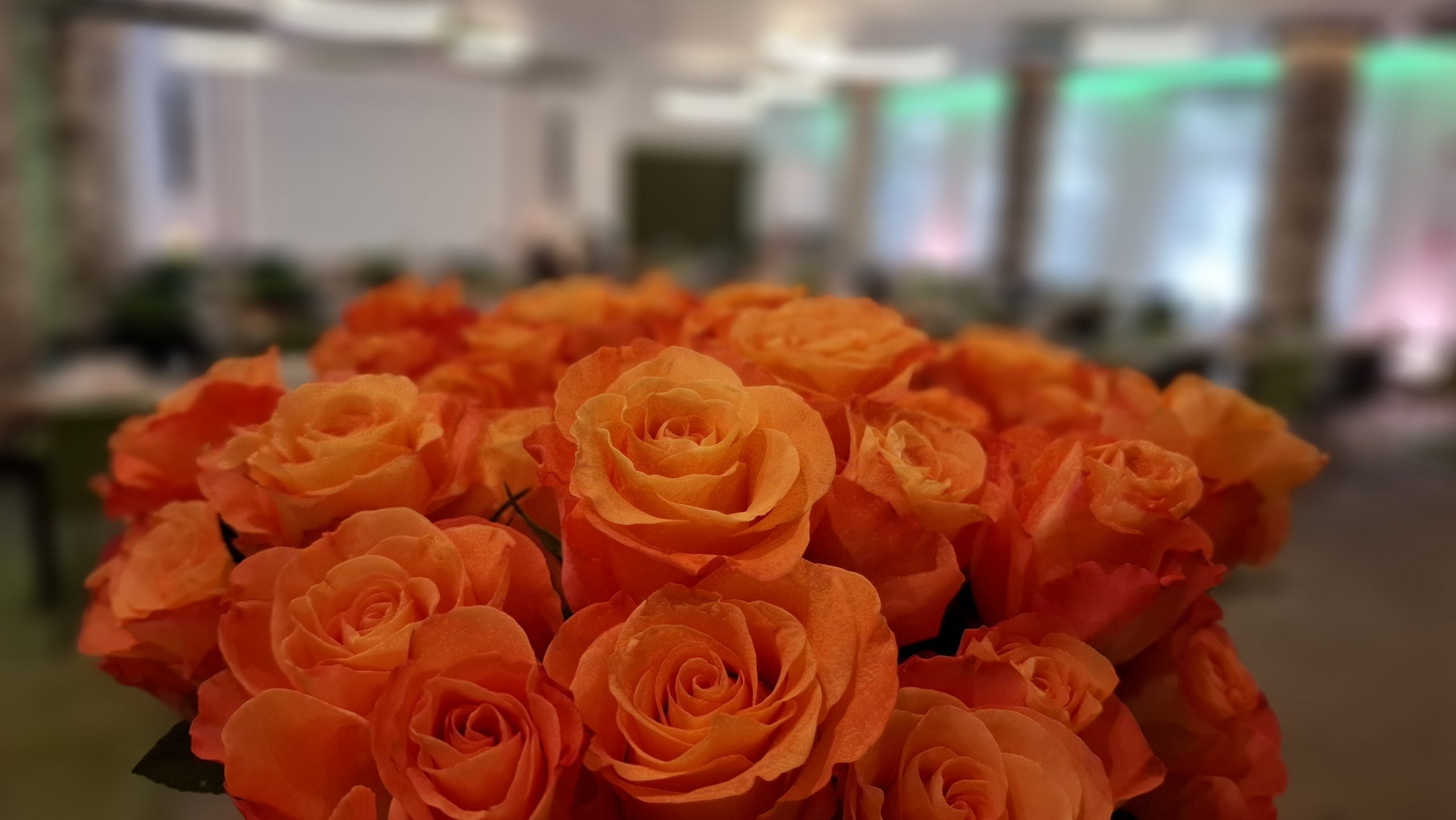 Vorbereiteter Tagungsraum mit Arbeitsplätzen und orangefarbenen Rosen